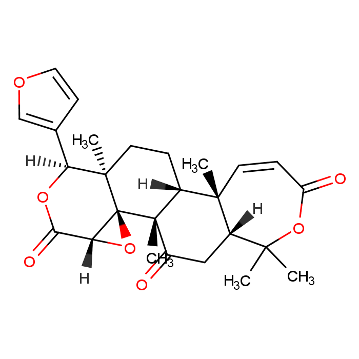 nn二甲基乙酰胺和甲酰胺区别